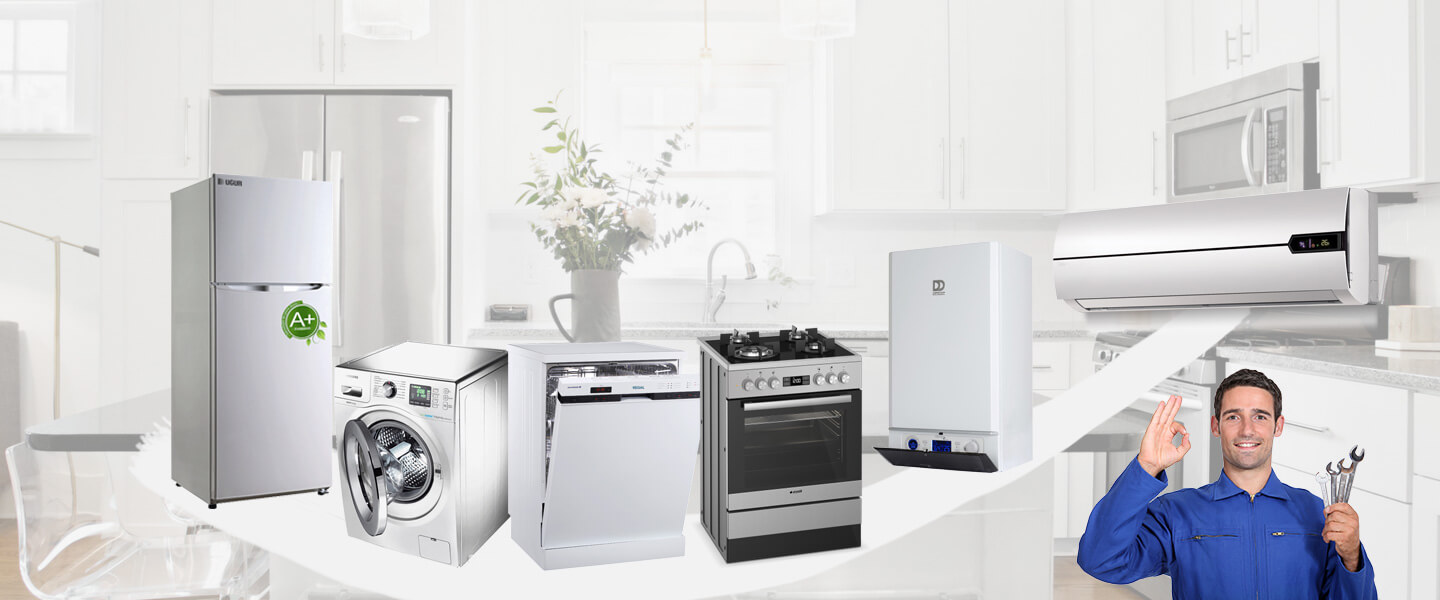 Çiçekdağı Philips Servisi